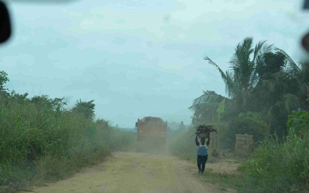 A woman walking on the road carrying logs on her head